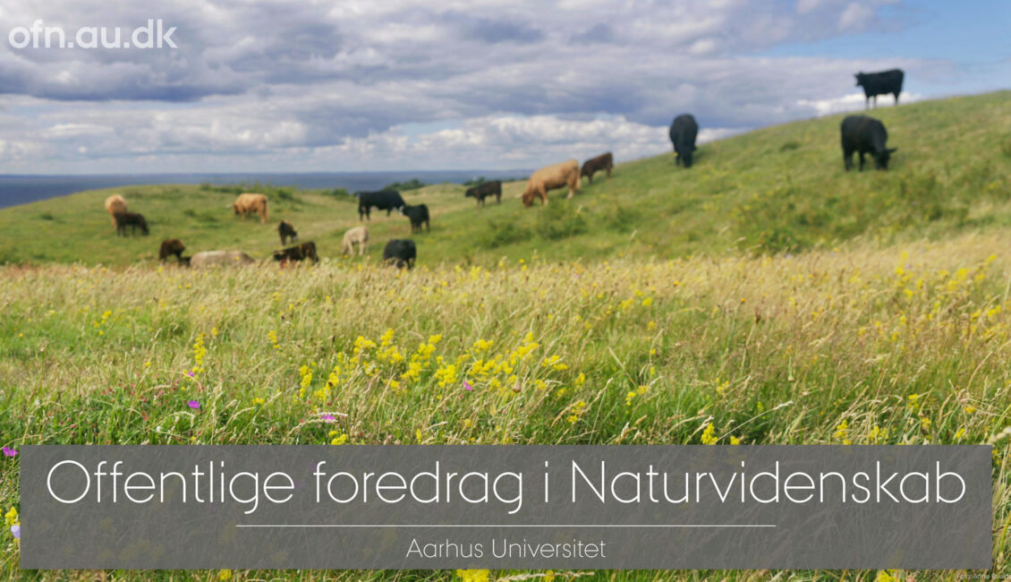 Fortidens og fremtidens vilde natur